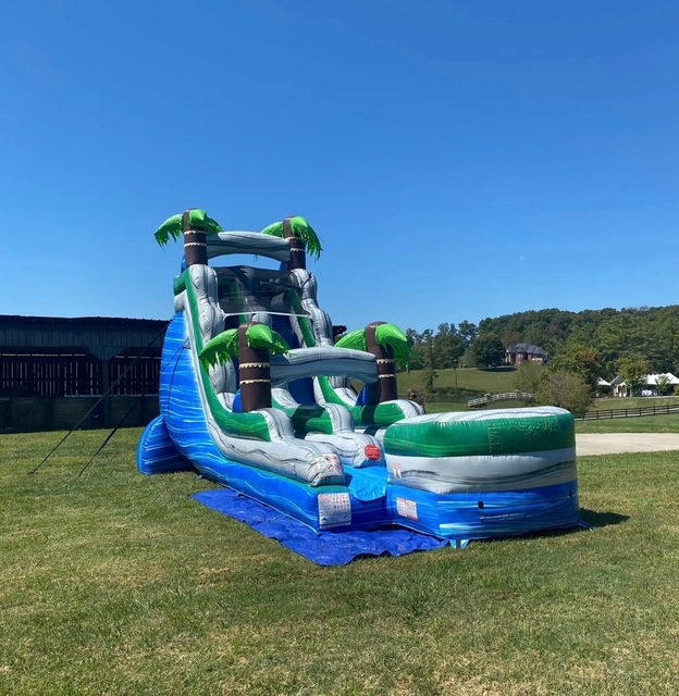 Tropical Dual Lane – colorful dual-lane water slide