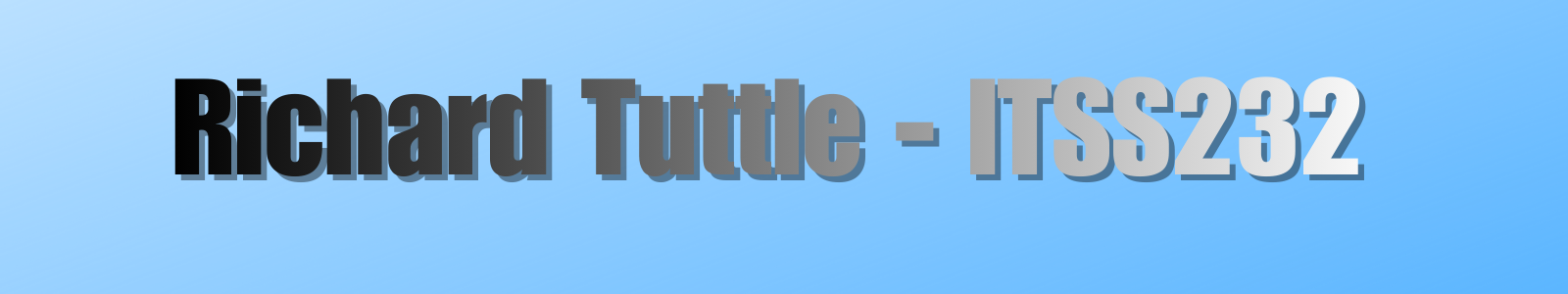Richard Tuttle – ITSS232